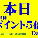 11月15日本日ポイント5倍